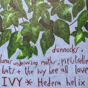 photo shows the painting: 'Hedera helix'
