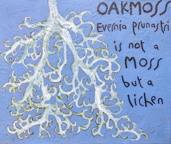 shows photo of oakmoss painting